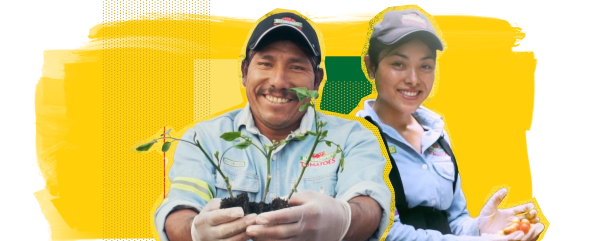 Sostener el estudio de caso