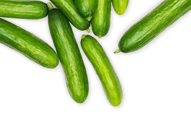 AdobeStock_211265059 1