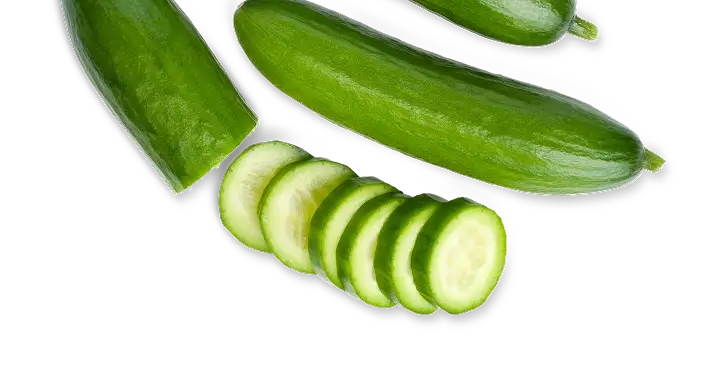 AdobeStock_317539613 1