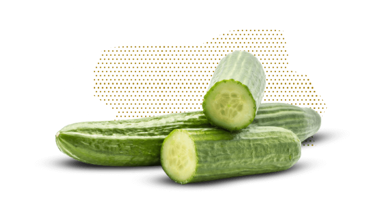 Long English Cucumbers 2