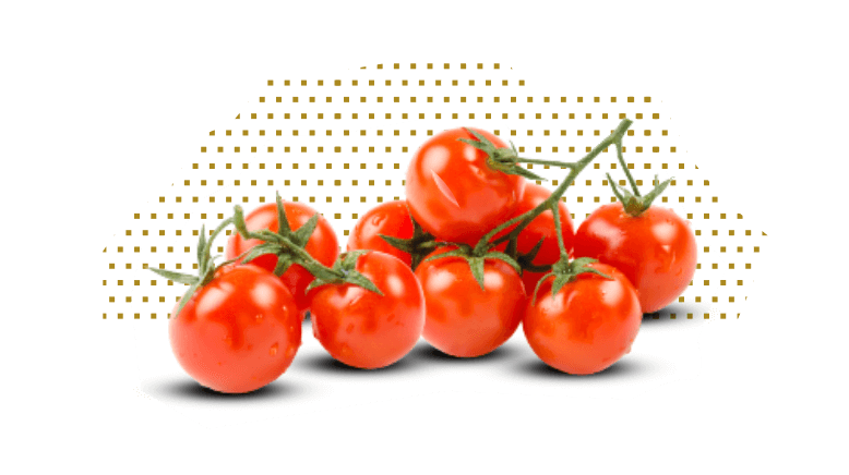 Imágenes genéricas de tomates (1)