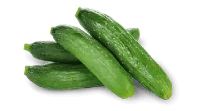 pepino-v5