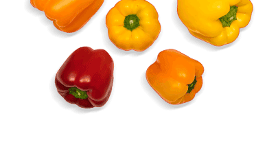 pimienta-4